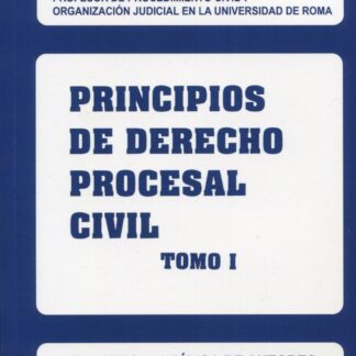 Principios de Derecho procesal civil 2 Tomos