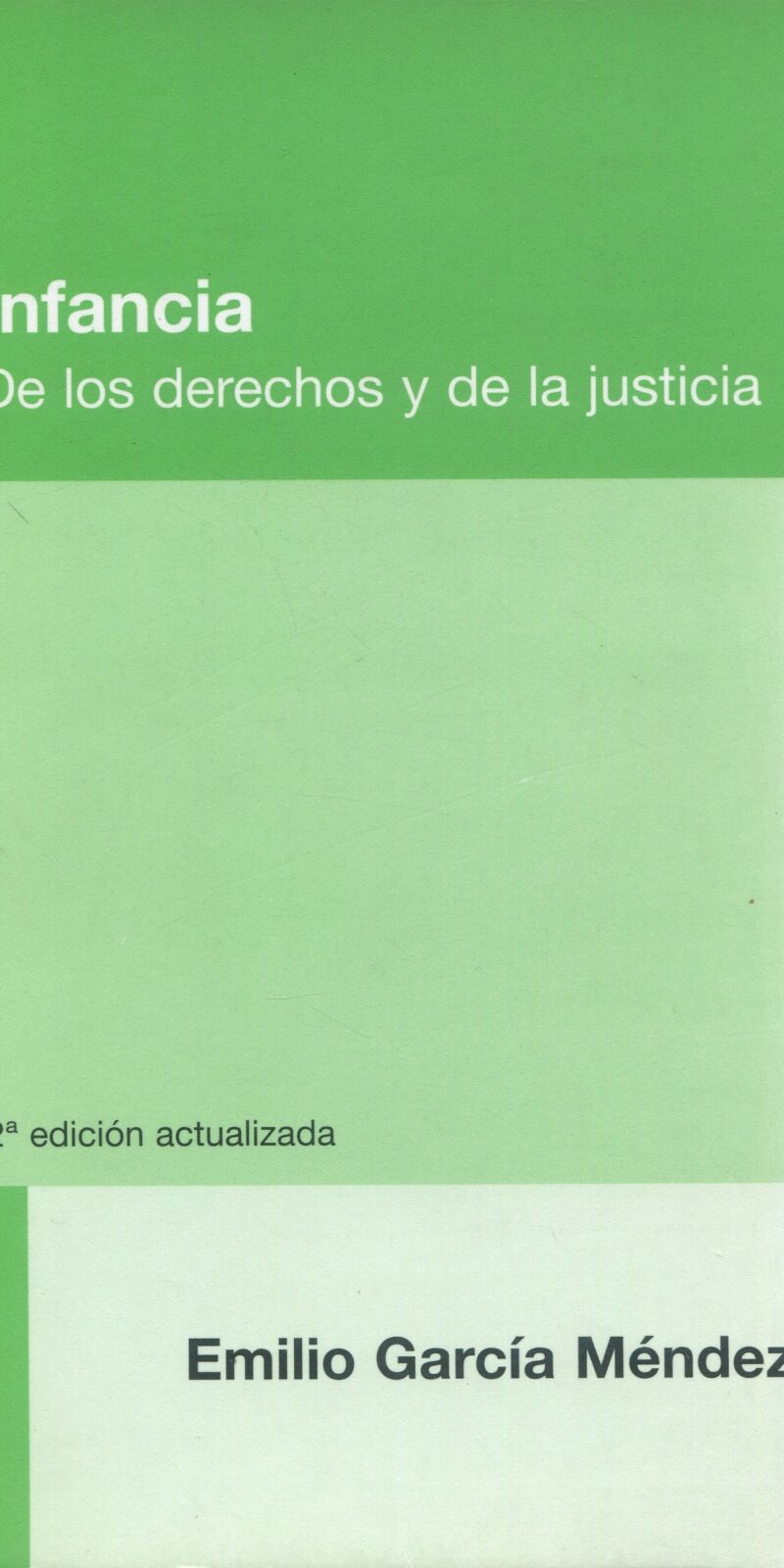 Infancia derechos y justicia / 9789879120583 / E. García Méndez