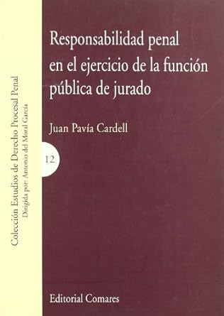 Responsabilidad Penal Ejercicio Función Pública