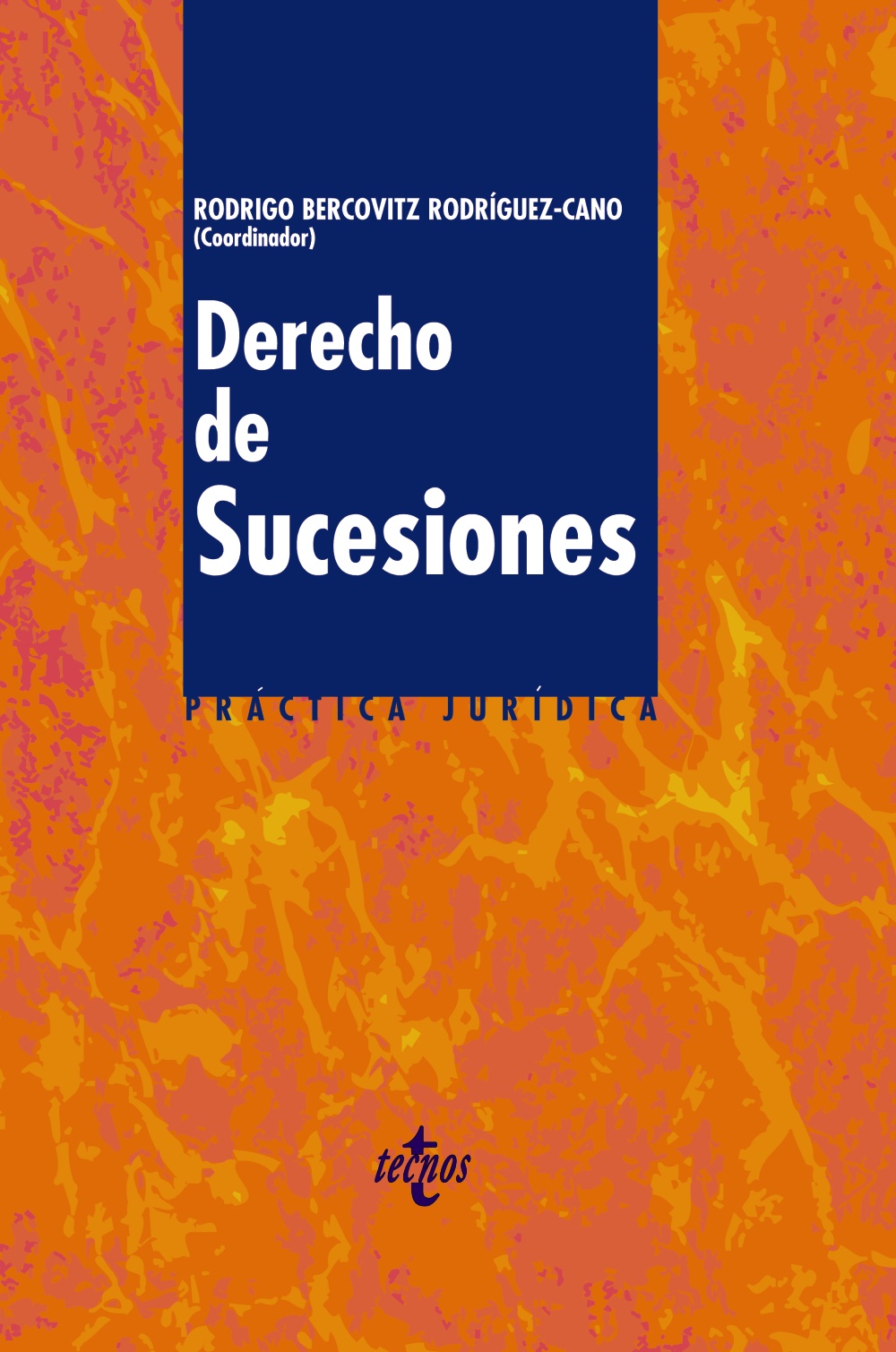 DERECHO DE SUCESIONES PRÁCTICA JURÍDICA