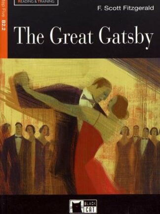 The great gatsby b2.2 sin cd