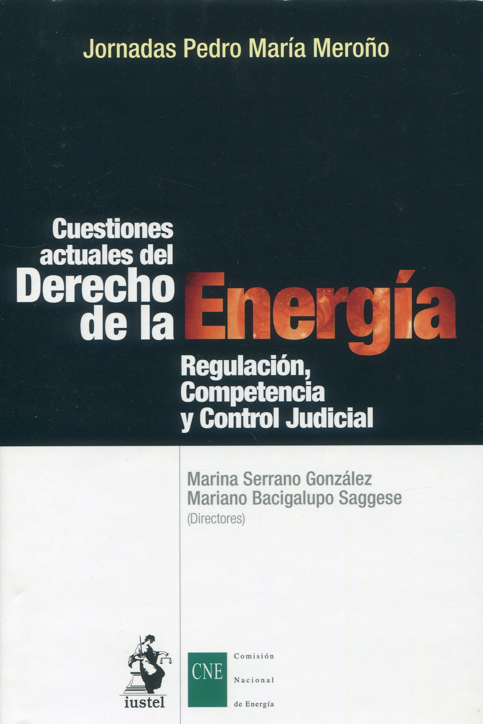 Cuestiones actuales derecho energía9788498900910