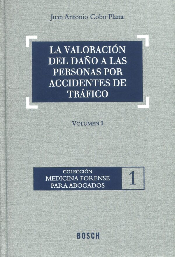 Valoración del Daño a Personas por Accidentes de Tráfico 9788497901703