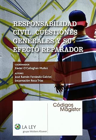 Responsabilidad Civil Cuestiones Generales