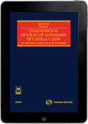 Comentarios al Estatuto de Autonomía de Castilla y León (e-book)