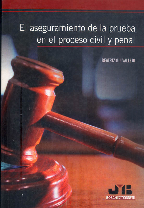 Aseguramiento Prueba Proceso Civil