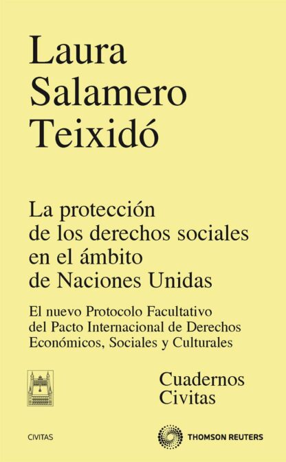 Protección de los Derechos Sociales en el Ambito de Naciones Unidas