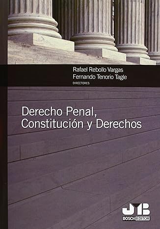 Derecho Penal Constitución y Derechos