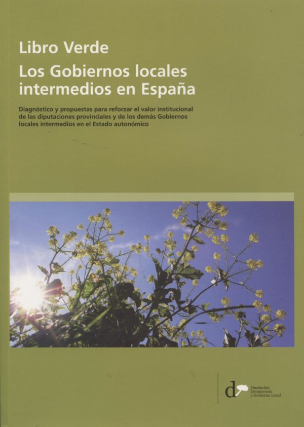 LIBRO VERDE GOBIERNOS LOCALES