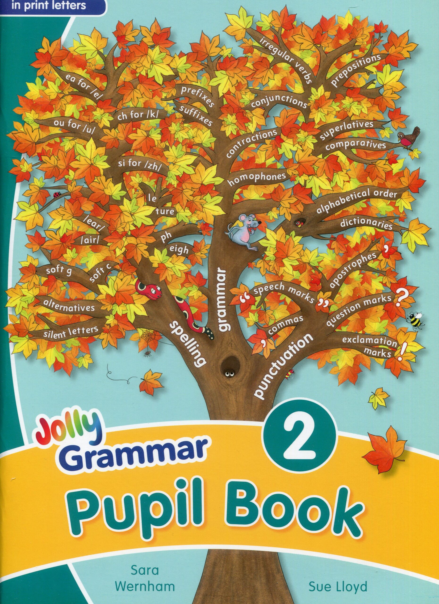 Jolly grammar Pupil book 2 9781844143924