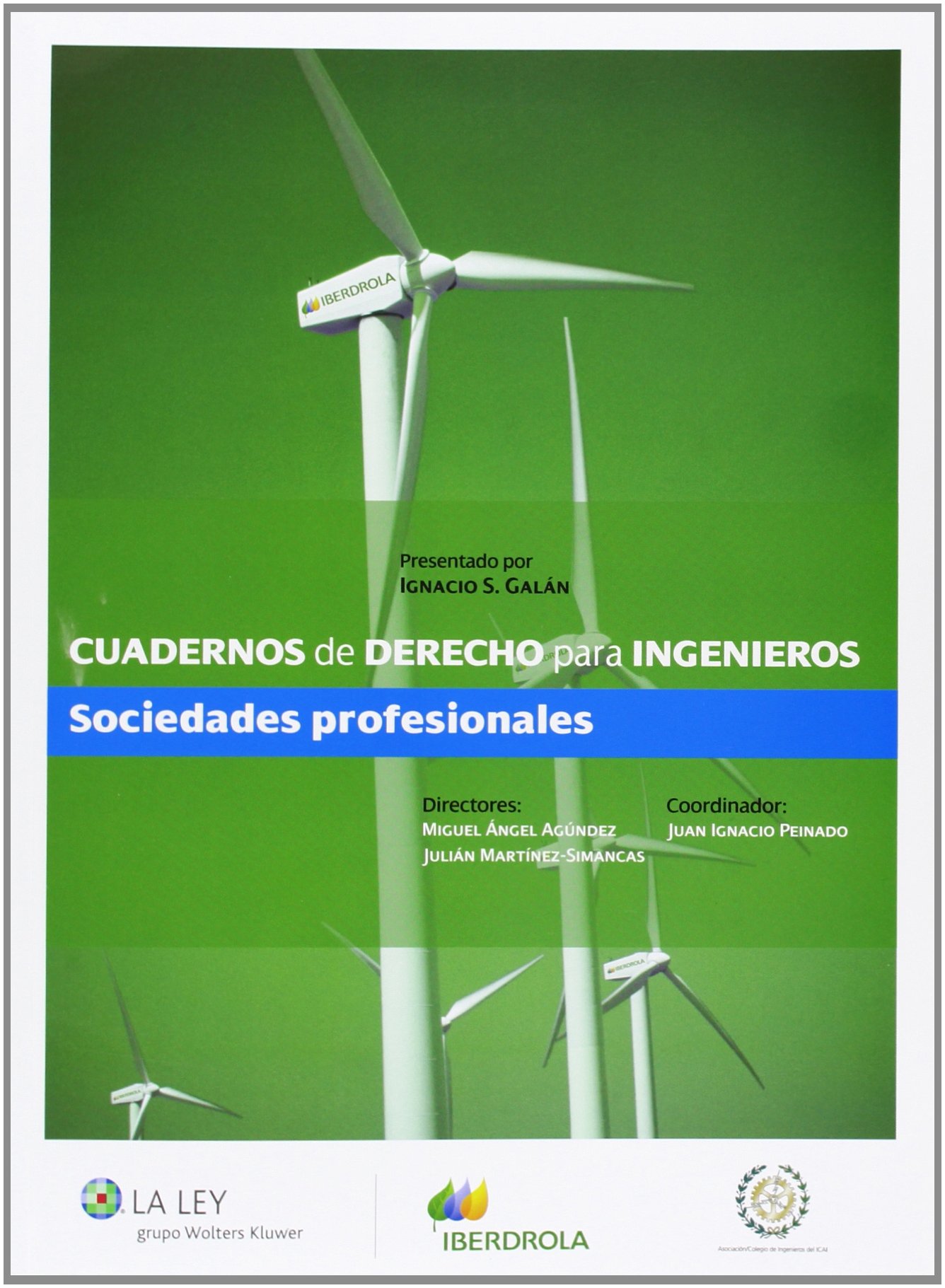 SOCIEDADES PROFESIONALES - IGNACIO S. GALÁN 9788490201718