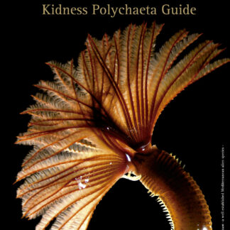 Guía Práctica para la Identificación de Familias de Poliquetos. Kidness Polychaeta Guide