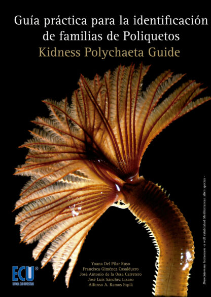 Guía Práctica para la Identificación de Familias de Poliquetos. Kidness Polychaeta Guide