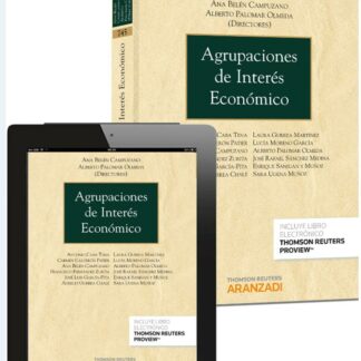 Agrupaciones de Interés Económico