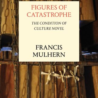 Figures of Catastrophe * The Condition of Culture Novel