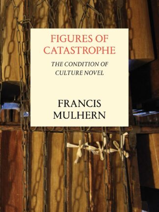 Figures of Catastrophe * The Condition of Culture Novel