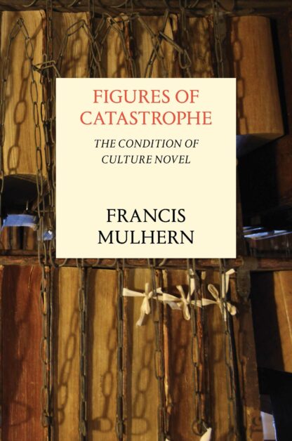 Figures of Catastrophe * The Condition of Culture Novel