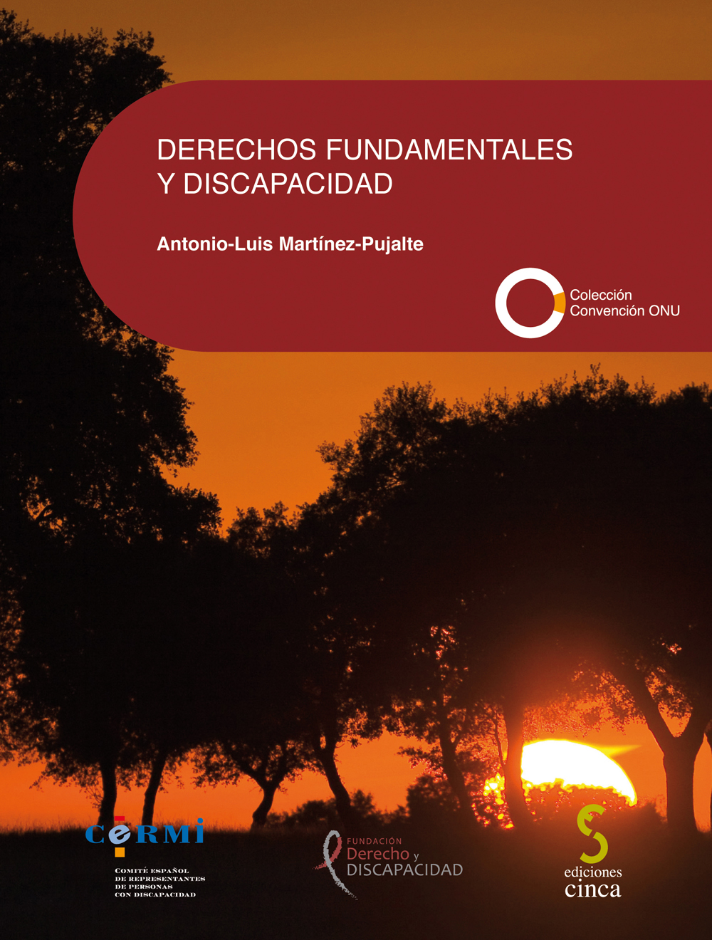 Derechos Fundamentales y Discapacidad / 9788416668007