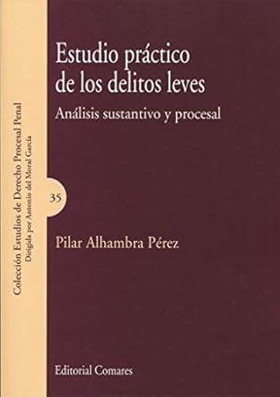 Estudio Práctico Delitos Leves