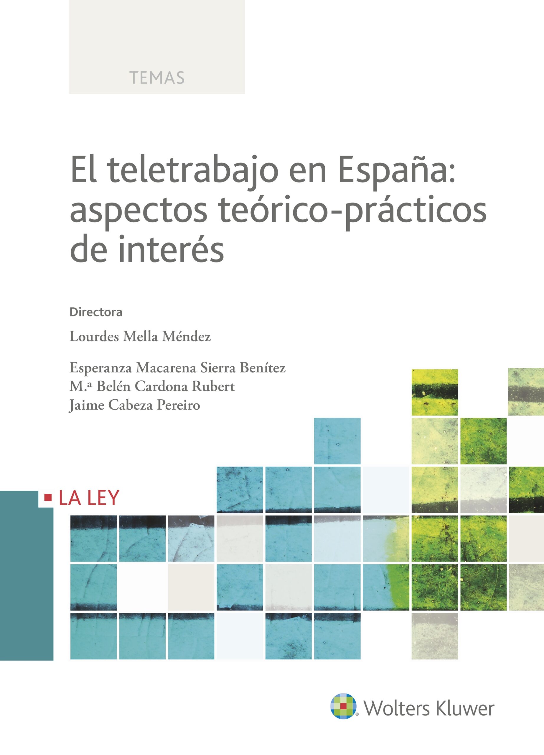 Teletrabajo en España Aspectos Teórico Prácticos de Interés