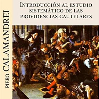 Introducción al estudio sistemático de las providencias cautelares