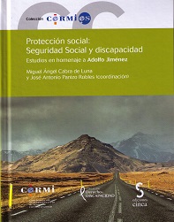 Protección Social: Seguridad Social y Discapacidad Estudios en Homenaje a Adolfo Jiménez-0