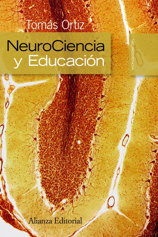 Neurociencia y educación -0