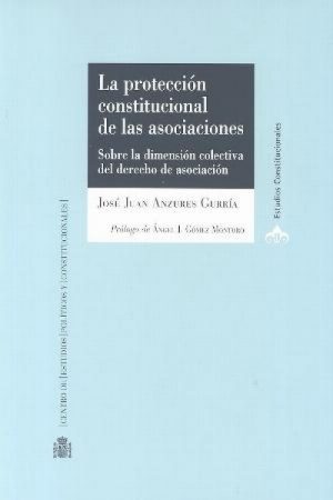 La protección constitucional de las asociaciones Sobre la dimensión colectiva del Derecho de asociación-0
