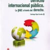 Derecho Internacional Público 2017. La Paz a Través del Derecho-0
