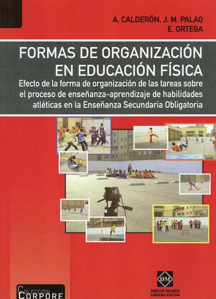 Formas de Organización en Educación Física. Efecto de la Forma de Organización de las Tareas sobre el Proceso de Enseñanza-Aprendizaje-0
