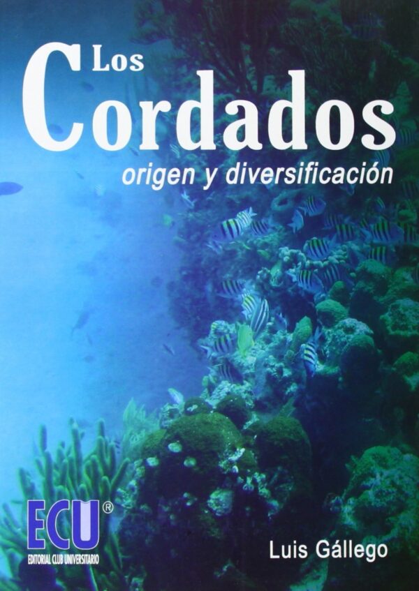 Cordados. Origen y Diversificación. -0