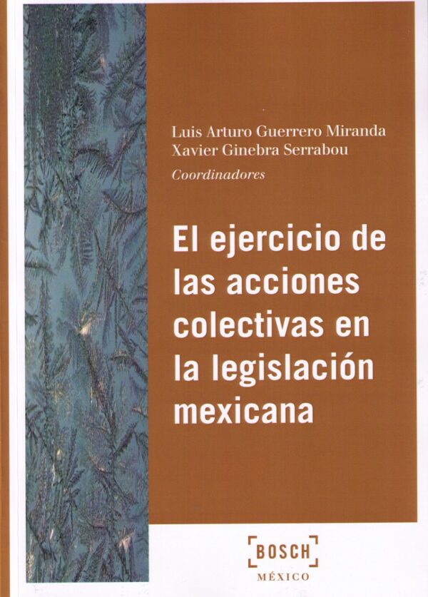 Ejercicio de las Acciones Colectivas en la Legislación Mexicana-0