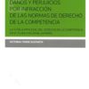 Daños y Perjuicios por Infracción de las Normas de Derecho de la Competencia. La Tutela Procesal del Derecho de la Competencia en el Plano Nacional-0