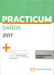 Practicum Daños 2017 -0