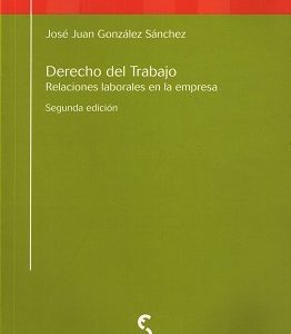 Derecho del Trabajo. Relaciones Laborales en la Empresa. -0