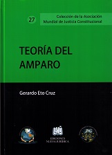 Teoría del Amparo -0