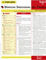 Derecho Individual del Trabajo Resumen Jurídico Volumen 3, 3.1-0