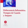 Delincuencia Informática. Tiempos de Cautela y Amparo -0