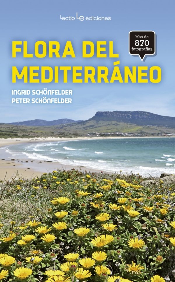 Flora del Mediterráneo -0