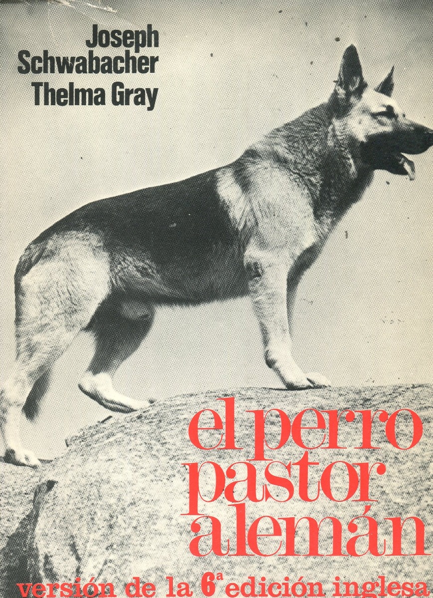 El perro pastor alemán -0