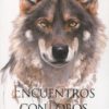 Encuentro con lobos -0