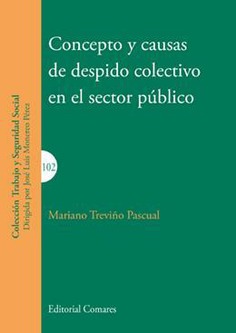 Concepto y Causas de Despido Colectivo en el Sector Público -0