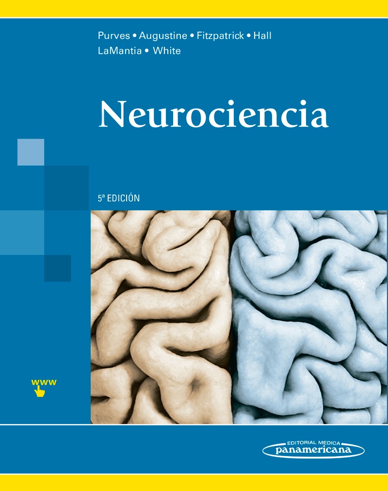 Neurociencia -0