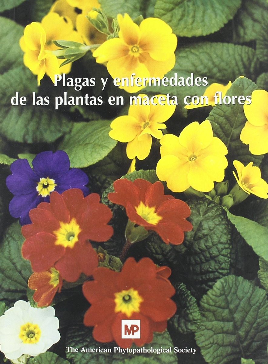 Plagas y Enfermedades de las Plantas en Macetas con Flores -0