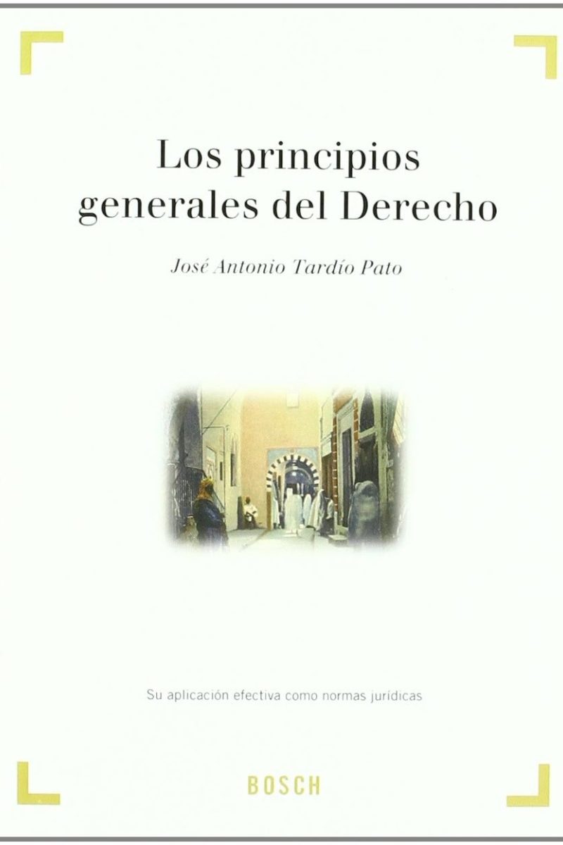 Principios generales del Derecho. Su aplicación efectiva como normas jurídicas -0