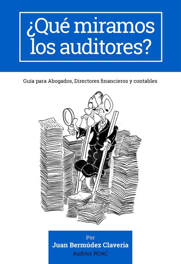 Qué Miramos los Auditores? Guía Para Abogados, Directores Financieros y Contables-0