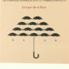 Cuestión de Supervivencia. Las Empresas Españolas ante la Tormenta Perfecta-0