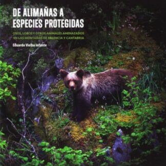 De alimañas a especies protegidas. Osos, lobos y otros animales amenazados en las montañas de Palencia y Cantabria
