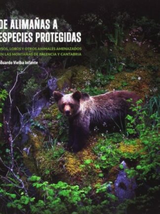 De alimañas a especies protegidas. Osos, lobos y otros animales amenazados en las montañas de Palencia y Cantabria