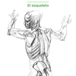 Anatomía artística 3. El esqueleto